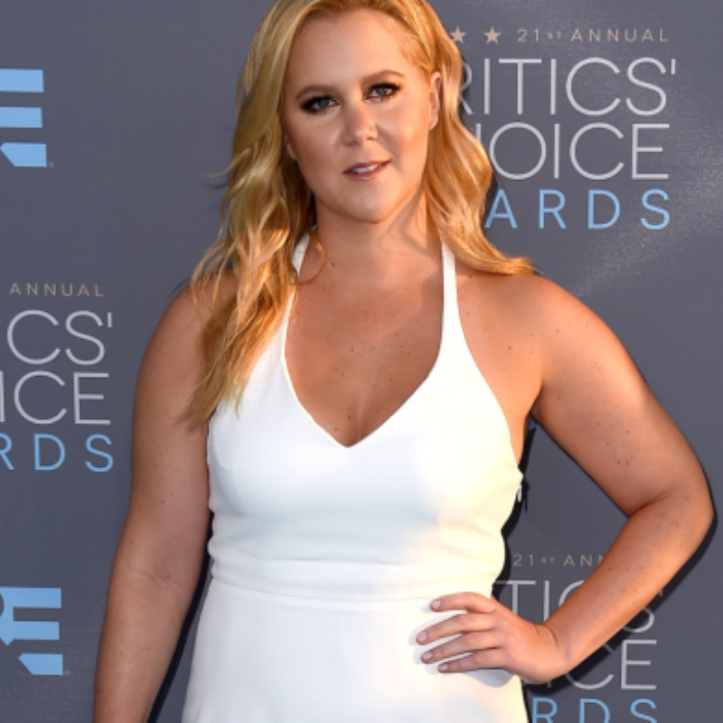 Amy Schumer Dropped Out Of Barbie Movie Cast Monster Bt1059 Cebu